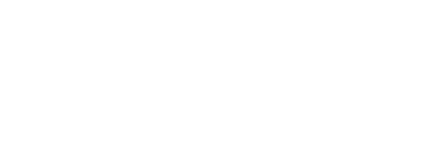 logo leanx white
